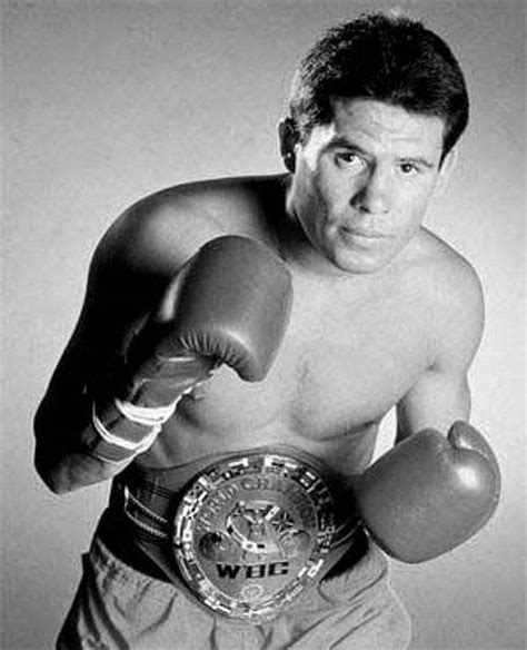 julio cesar chavez boxer list.